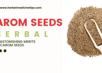 Carom Seeds