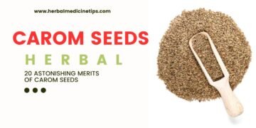 Carom Seeds