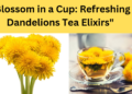 "Blossom in a Cup: Refreshing  Dandelions Tea Elixirs"