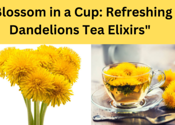 "Blossom in a Cup: Refreshing  Dandelions Tea Elixirs"