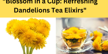 "Blossom in a Cup: Refreshing  Dandelions Tea Elixirs"